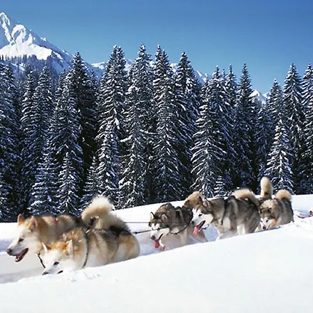 Domek letniskowy Alpen Select Kleinwalsertal *